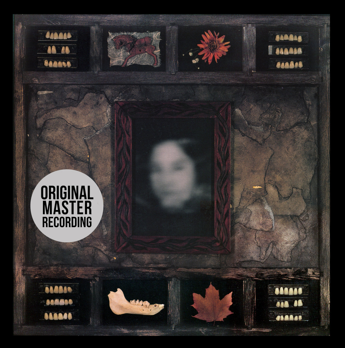 Dazzling Killmen — Face of Collapse album cover