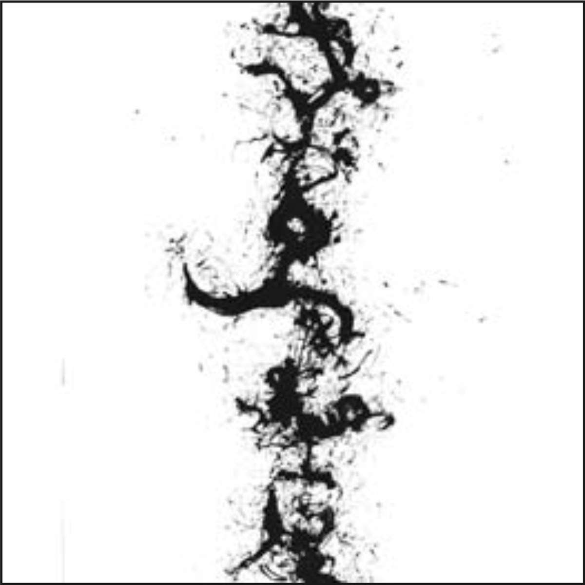 Simulacrum (John Zorn) — The True Discoveries of Witches and Demons album cover